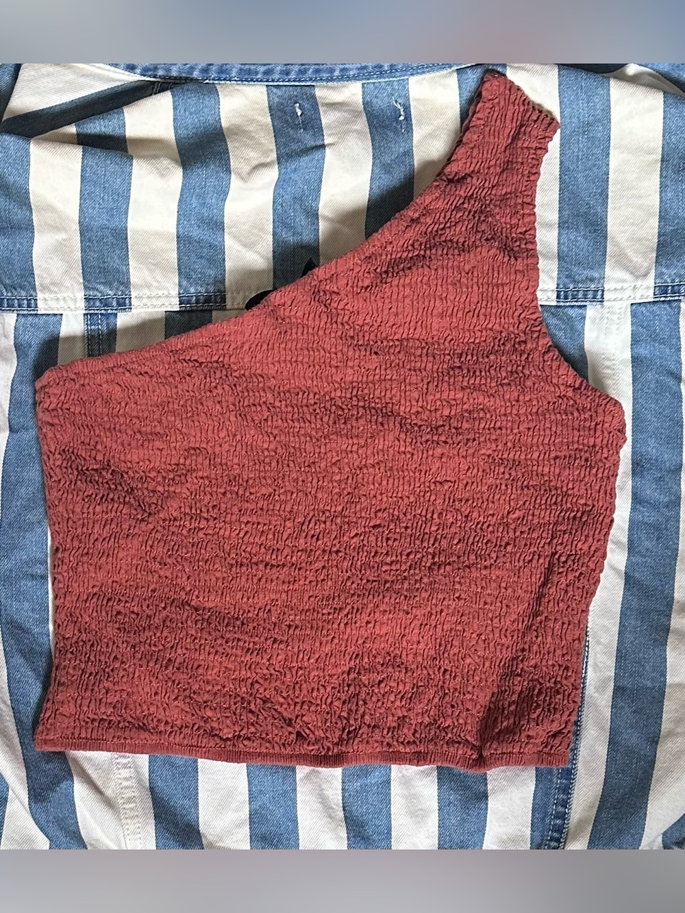 Asymmetric Smocked Crop Top in Burnt Rose
